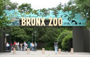 bronx-zoo-address bronx-zoo-address