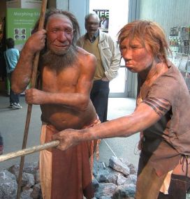 800px-Neandertala_homo,_modelo_en_Neand-muzeo
